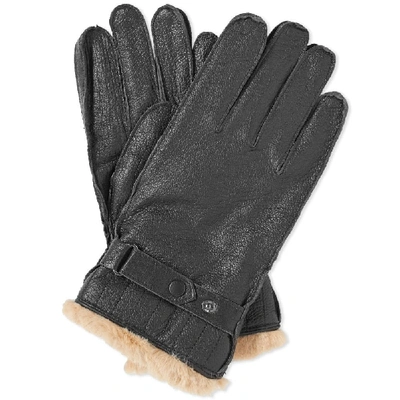 Shop Barbour Leather Utility Glove In Black