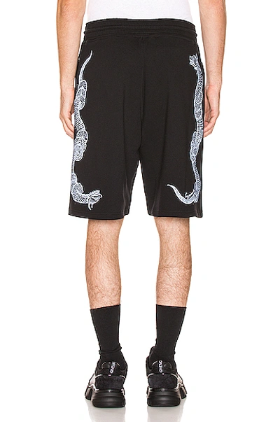 Shop Givenchy Snake Print Bermuda Shorts In Black