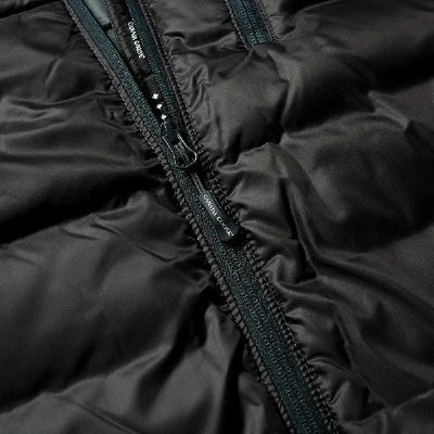 5056m canada goose 2025