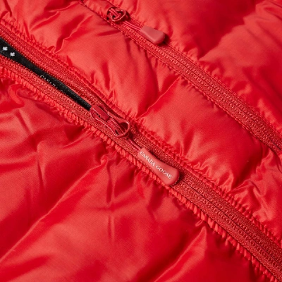 Shop Canada Goose Lodge Jacket In Red