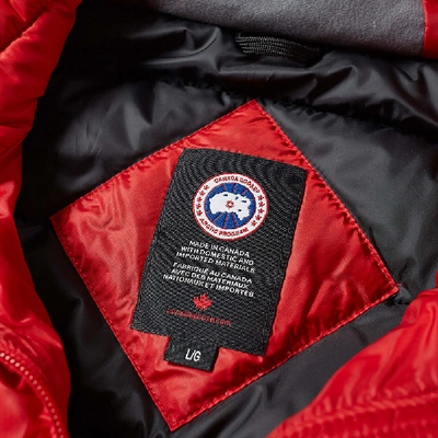 Shop Canada Goose Lodge Jacket In Red
