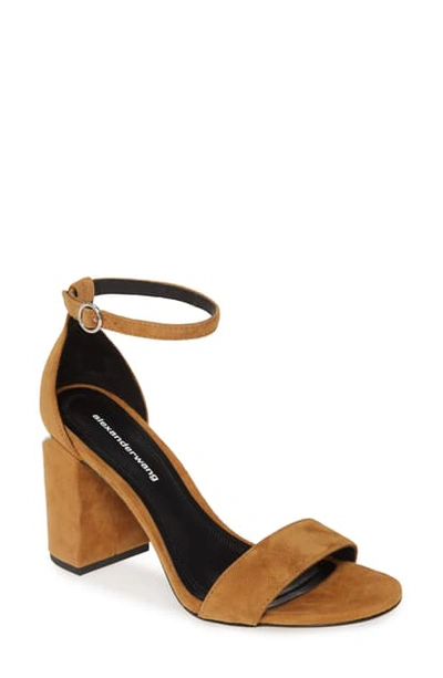 Shop Alexander Wang New Abby Ankle Strap Sandal In Ochre Suede