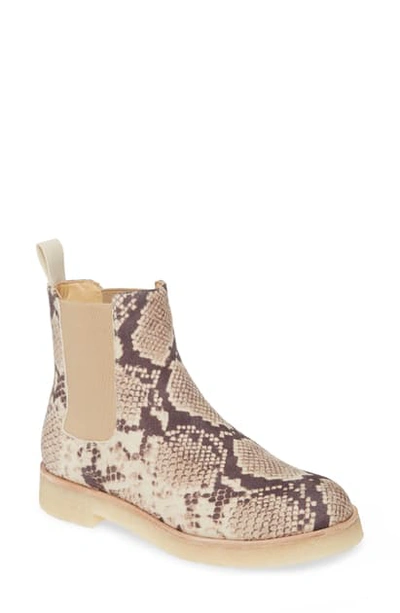Shop Band Of Gypsies Ophir Bootie In Natural Snake Print