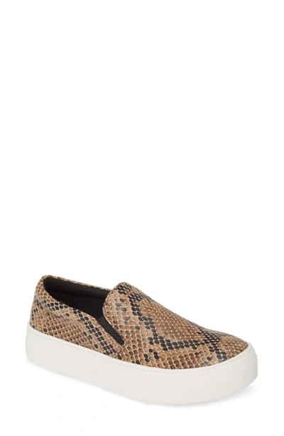 Shop Steve Madden Gills Platform Slip-on Sneaker In Taupe Snake Print