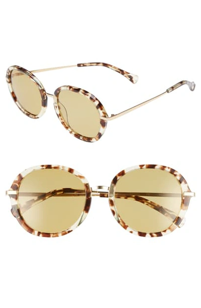 Shop Zac Zac Posen Cameo 52mm Round Sunglasses In Tortoise Polar/ Gold