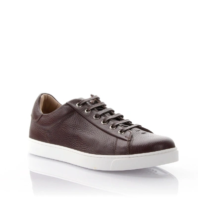 Shop Gianvito Rossi Leather Sneakers In Brown