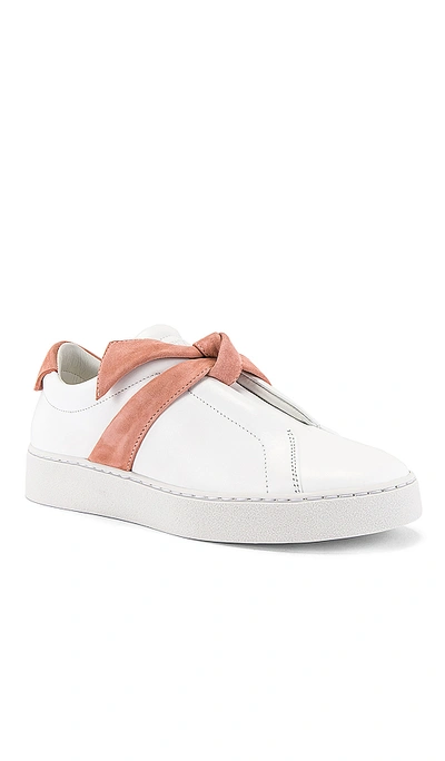 Shop Alexandre Birman Clarita Sneaker In Pink & White