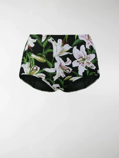 Shop Dolce & Gabbana Lily High Waist Bikini Bottoms In Black