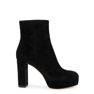 Shop Gianvito Rossi 100 Black Suede Ankle Boots