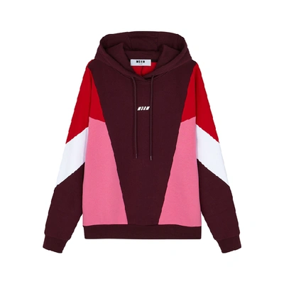 Shop Msgm Colour-block Hooded Cotton Sweatshirt