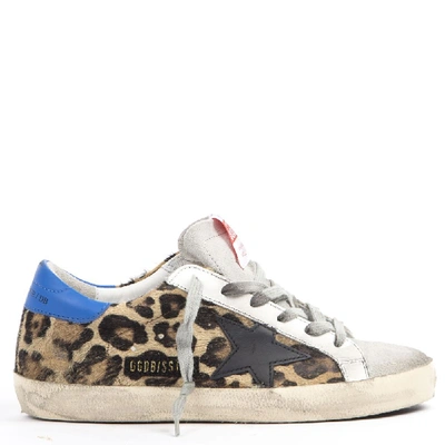 Shop Golden Goose Superstar Sneakers In Leopard Printed Leather In Snow Leopard-royal