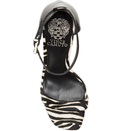 Shop Vince Camuto Lauralie Ankle Strap Sandal In Black White Calf Hair
