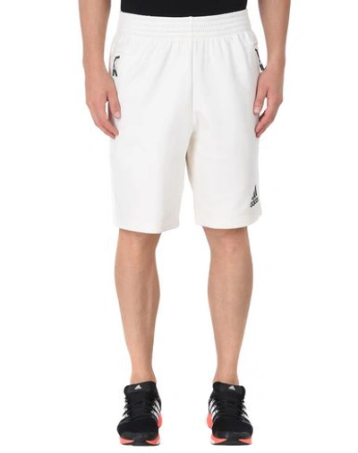 Shop Adidas Originals Athletic Pant In Ivory