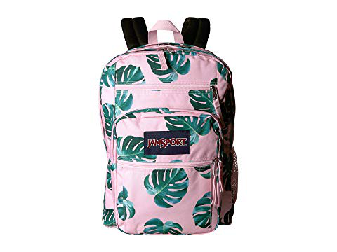 jansport monstera palm leaves