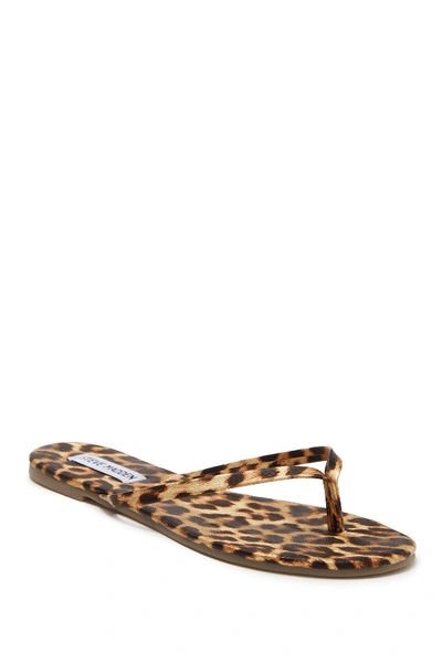 Shop Steve Madden Tay Flip Flop In Leopard