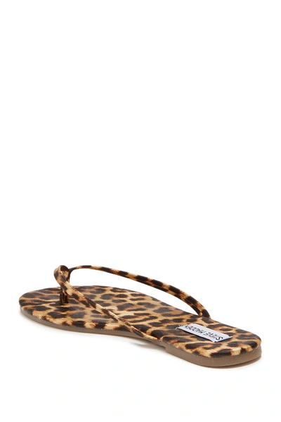 Shop Steve Madden Tay Flip Flop In Leopard