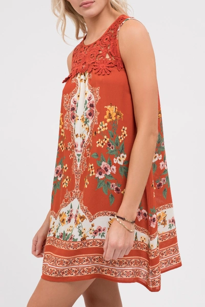 Shop Blu Pepper Lace Yoke Printed Shift Dress In Sienna Multi