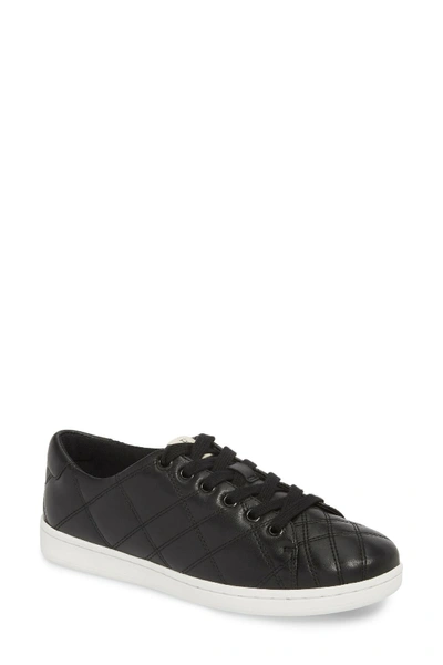 Shop Ed Ellen Degeneres Crowley Quilted Sneaker In Black-s201