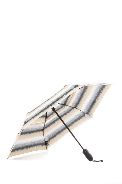 Shop Shedrain Windpro Auto Open & Close Umbrella In N Rack Scribble