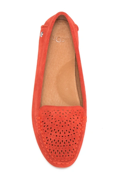 Shop Ugg Clair Suede Flat In Red Orange