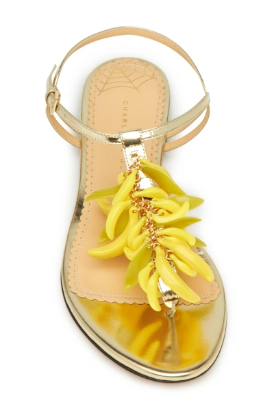Shop Charlotte Olympia Banana Embellished T-strap Sandal In Assorted