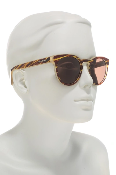 Shop Dolce & Gabbana 51mm Solid Sunglasses In Honey