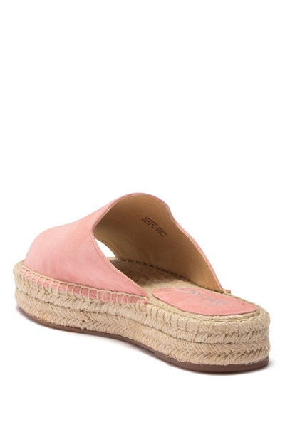 Shop Splendid Franci Espadrille Slide Sandal In Blush Sde