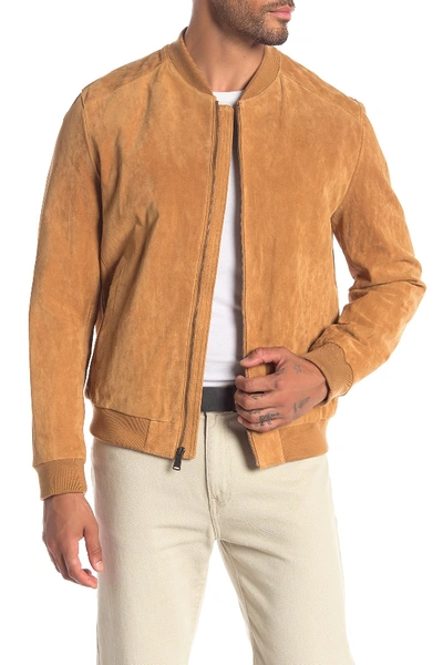 Shop Cole Haan Suede Varsity Jacket In Tan