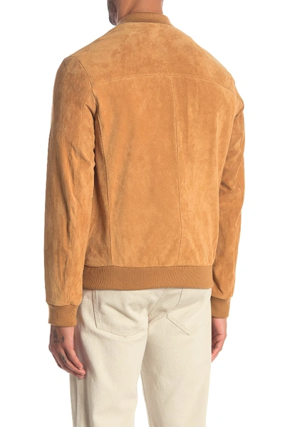 Shop Cole Haan Suede Varsity Jacket In Tan