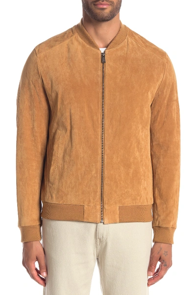 Shop Cole Haan Suede Varsity Jacket In Tan