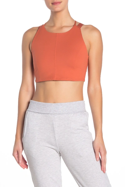 Shop Free People Mantra Strappy Back Crop Top In Terracotta