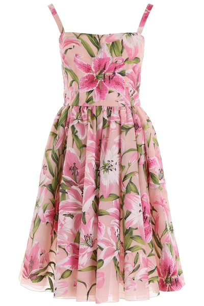 Shop Dolce & Gabbana Lily Print Dress In Gigli Fdo Rosa (pink)