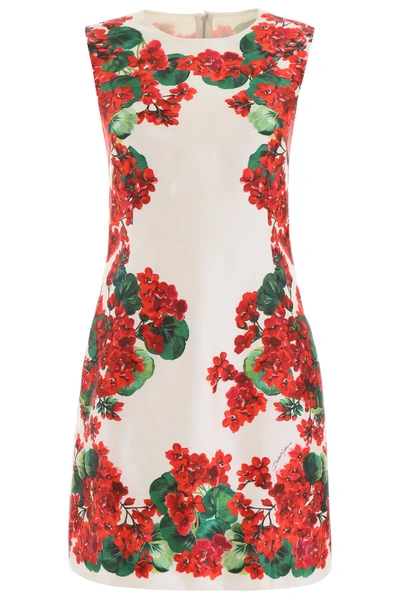 Shop Dolce & Gabbana Portofino Dress In Gerani Fdo Bco Nat (white)