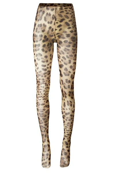 Shop Dolce & Gabbana Leopard-printed Tights In Leo New (brown)