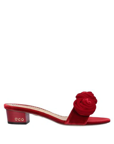 Shop Charlotte Olympia Sandals In Red