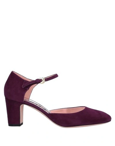 Rochas Pumps In Purple