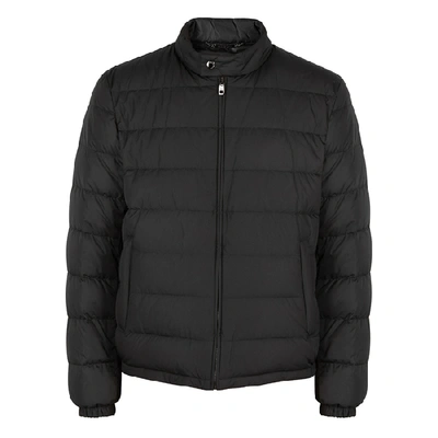 Shop Dolce & Gabbana Black Quilted Shell Jacket