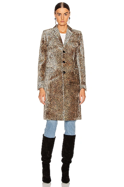 Shop Saint Laurent Leopard Coat In Beige & Black