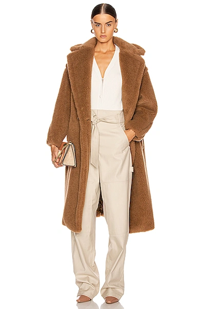 Shop Max Mara Teddy Coat In Camel