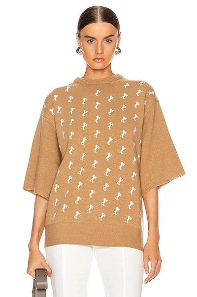 Shop Chloé Embroidered Horse Sweater In Coffee Brown
