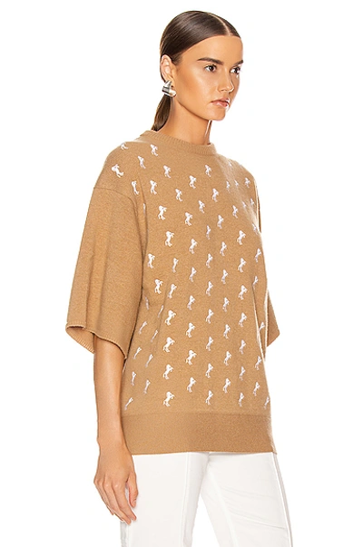 Shop Chloé Embroidered Horse Sweater In Coffee Brown