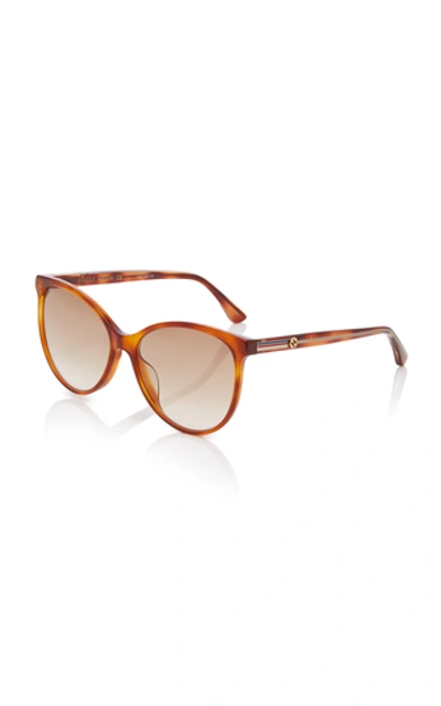 Shop Gucci Web Acetate Cat-eye Sunglasses In Brown