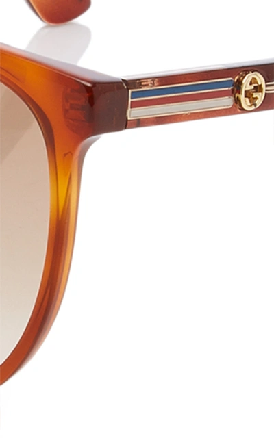 Shop Gucci Web Acetate Cat-eye Sunglasses In Brown