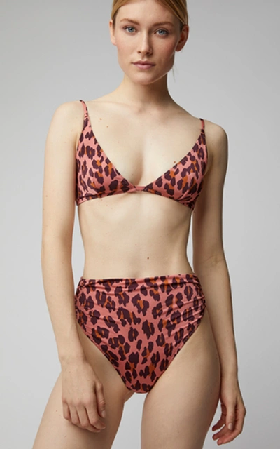 Shop Stella Mccartney Animal-print Bikini Top