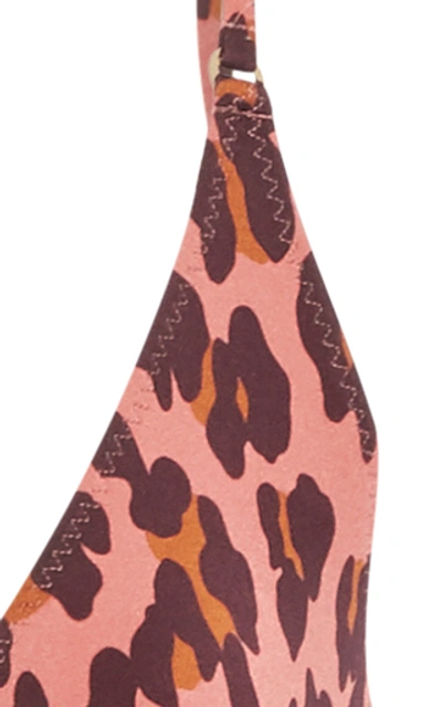 Shop Stella Mccartney Animal-print Bikini Top