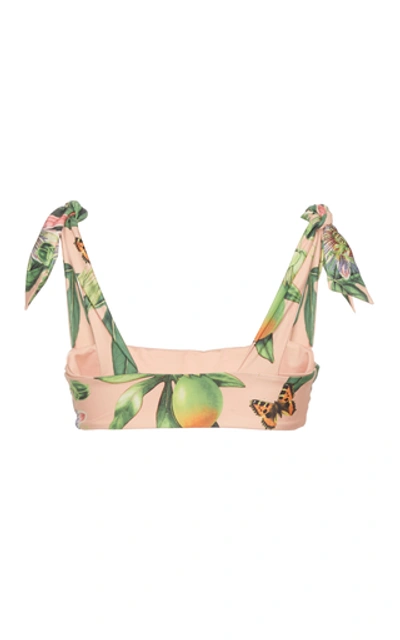 Shop Agua By Agua Bendita Lena Printed Bow-detailed Bikini Top In Pink