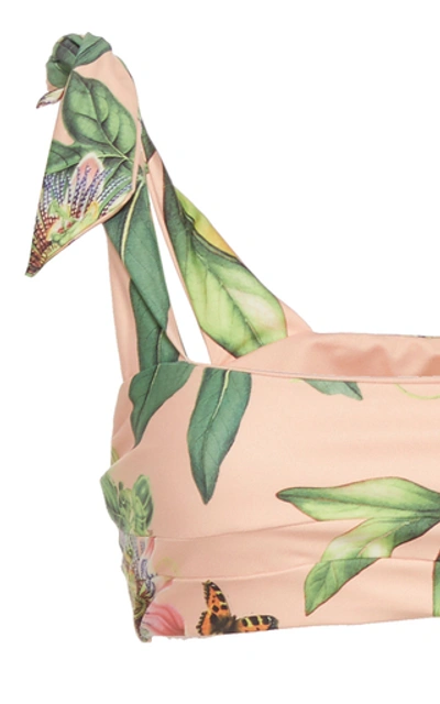 Shop Agua By Agua Bendita Lena Printed Bow-detailed Bikini Top In Pink