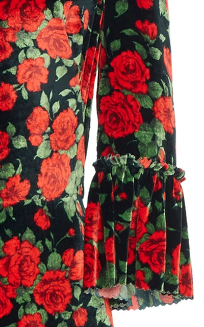 Shop The Vampire's Wife Ruffled Floral-print Velvet Maxi Dress