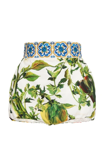 Shop Dolce & Gabbana Pepper-print Poplin Mini Shorts In Floral