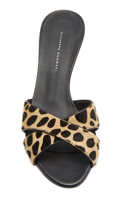 Shop Giuseppe Zanotti Felina Printed Calf Hair And Leather Sandals In Animal